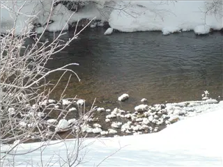 small_Breck2008 011.webp